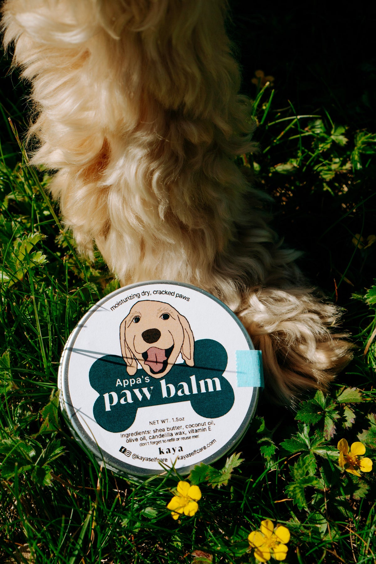 Paw Balm
