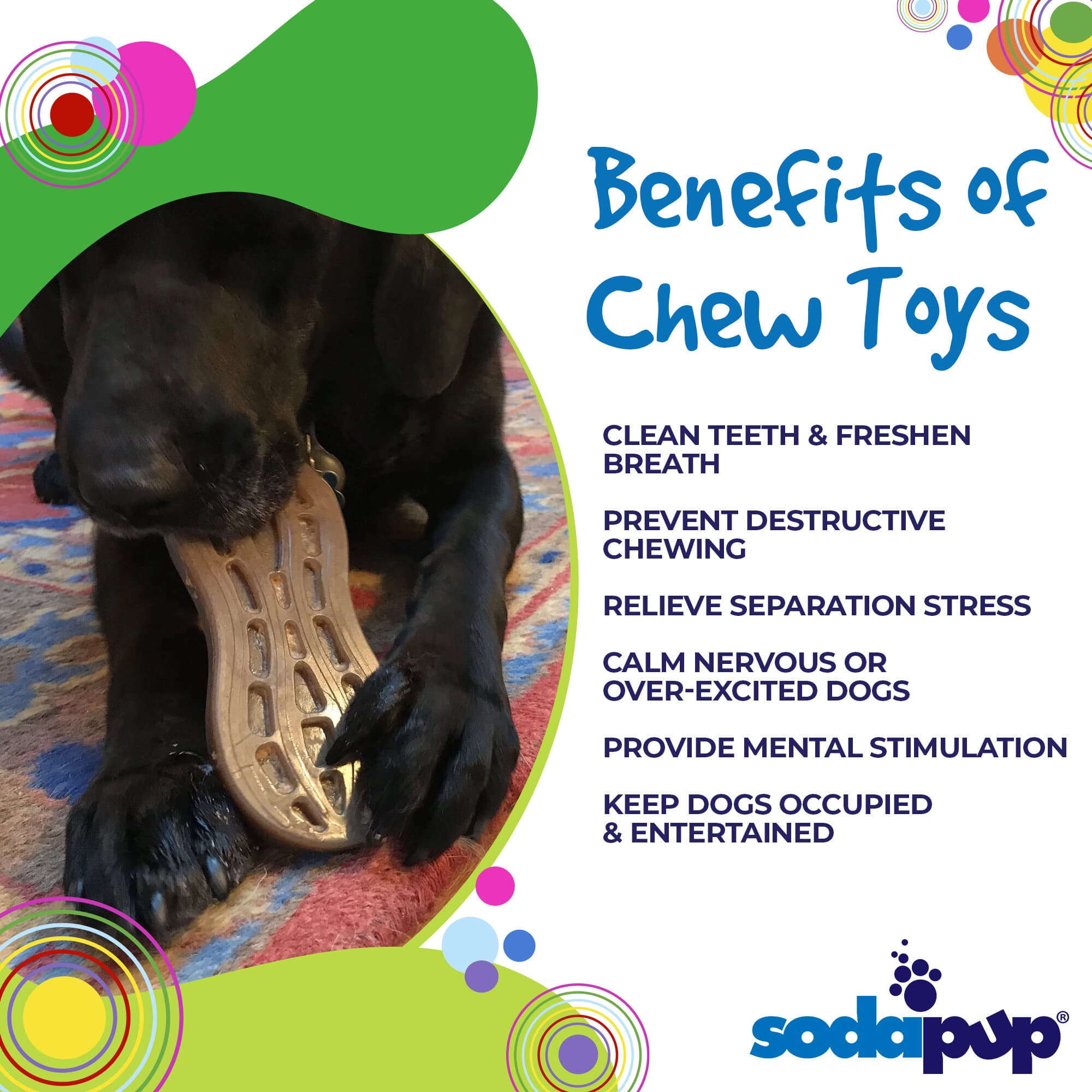 Peanut Nylon Dog Chew Toy | Ultra-Durable for Aggressive Chewers | SodaPup