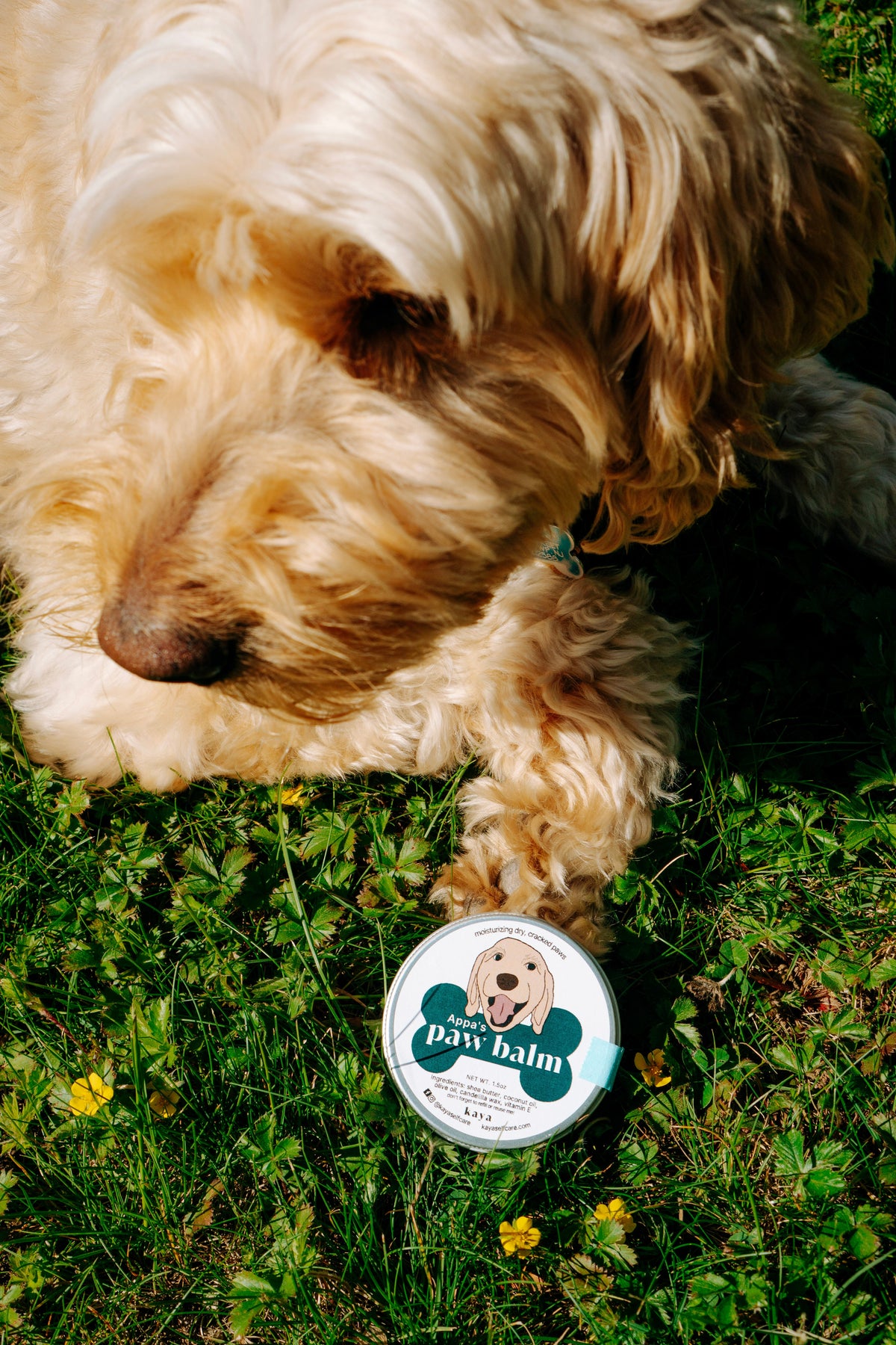 Paw Balm